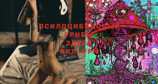мдпв Армянск
