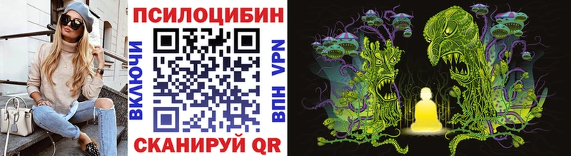 Псилоцибиновые грибы Cubensis  Купить где  Заволжск 